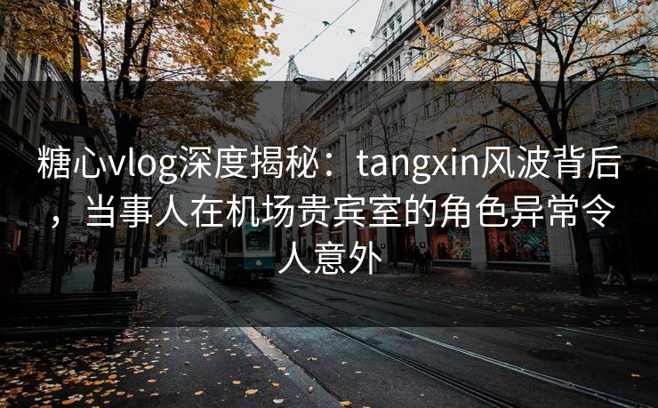 糖心vlog深度揭秘：tangxin风波背后，当事人在机场贵宾室的角色异常令人意外