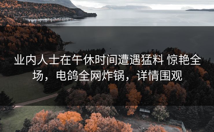 业内人士在午休时间遭遇猛料 惊艳全场，电鸽全网炸锅，详情围观