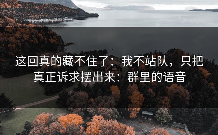 这回真的藏不住了:我不站队,只把真正诉求摆出来:群里的语音