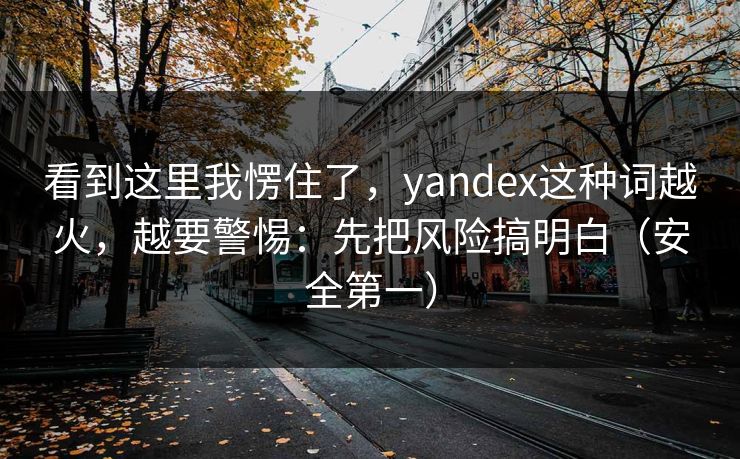 看到这里我愣住了，yandex这种词越火，越要警惕：先把风险搞明白（安全第一）