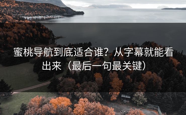 蜜桃导航到底适合谁？从字幕就能看出来（最后一句最关键）